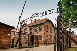 Holocaust Survivor Story
