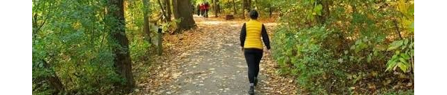 Wilket Creek Park - Banner
